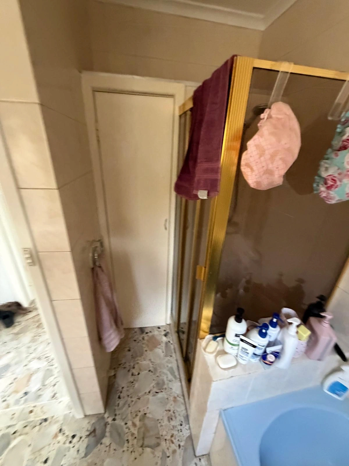 Small existing cupboard beside the original Fawkner bathroom shower